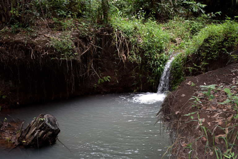 Moshi: Rau-Wald (Wanderung oder Radtour)Wandern im Rau-Wald