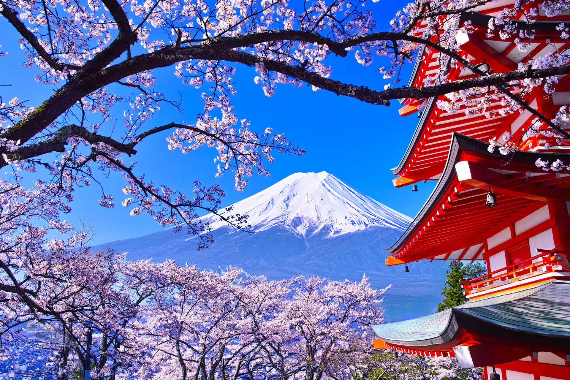 Ab Tokio: Tour zu den 6 schönsten Orten am Fuji – Oshino Hakkai, Kawaguchi-See