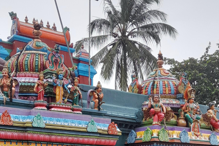 11 nachten, 12 dagen rondreis in Sri Lanka: natuur, cultuur, lokale ervaringen!