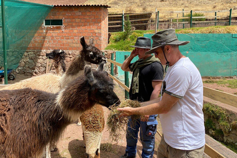 From Cusco: Cusco Machu Picchu Luxury Tour