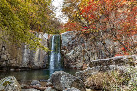 De Seul: excursão privada de um dia a Gangwondo - inglês ou espanholDe Seul: passeio privado de um dia a Gangwondo - inglês ou espanhol