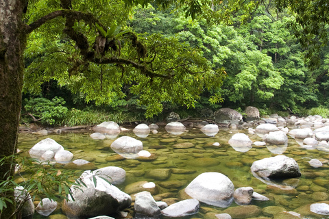 Cape Tribulation: Daintree, Mossman Gorge i Port Douglas...