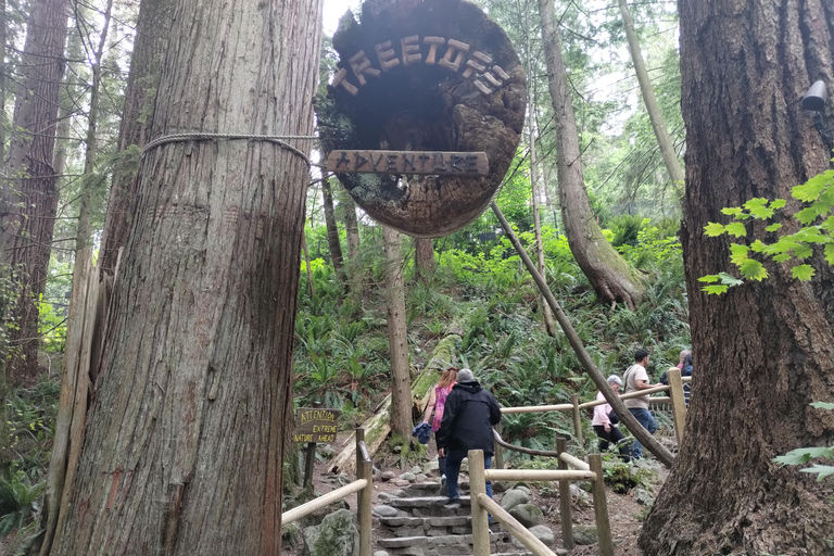 Ponte sospeso di Capilano/Tour privato in auto/Prezzo garantito