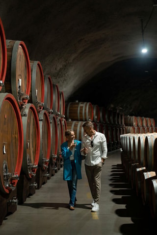 Podgorica: Plantaže Vineyard Tour with Wine Tasting