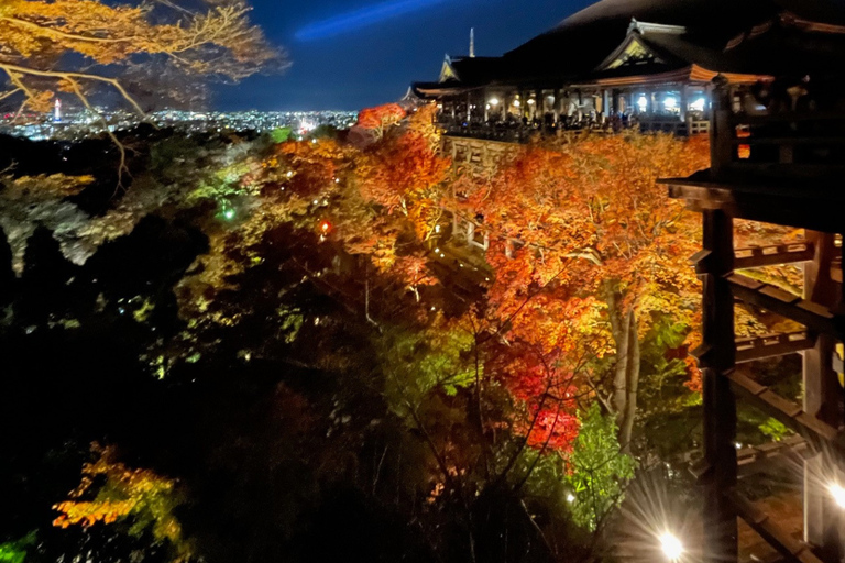 Kyoto Day Trip from Tokyo by Bullet Train Private Tour