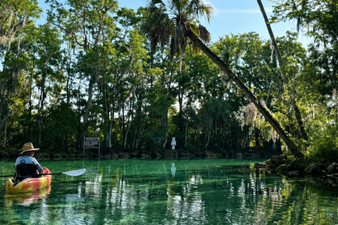 Crystal River: Full-Day Tandem Kayak Rental