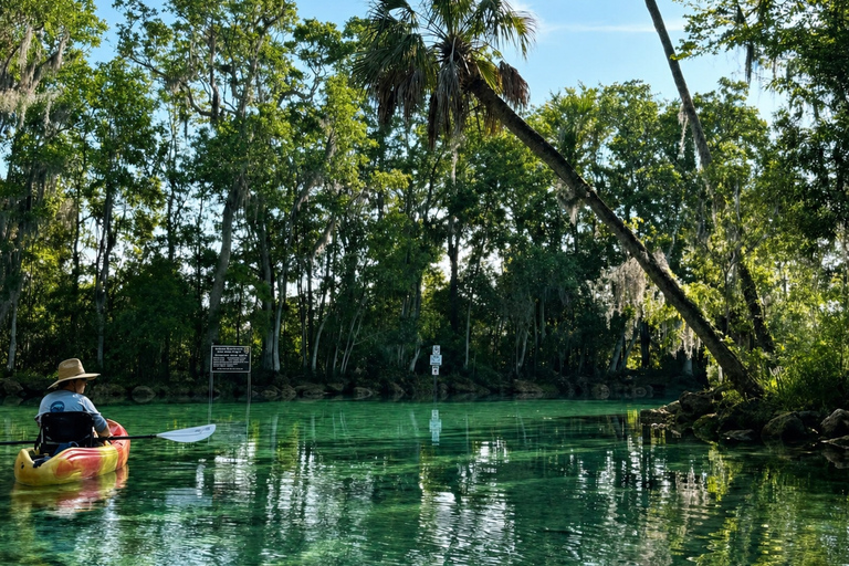 Crystal River: Full-Day Tandem Kayak Rental