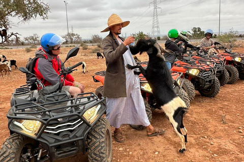 Passeio de quadriciclo e cabras na árvore de argão e chá com Nomade