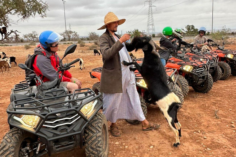 Quad en quad y cabras en el argán y té con Nomade