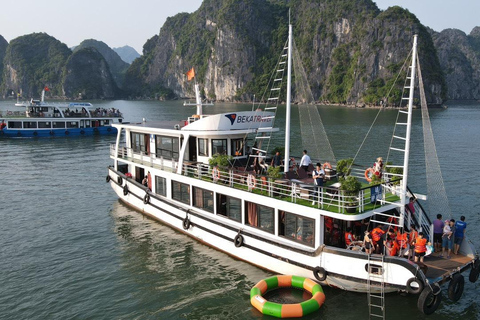 Z Cat Ba/Hanoi: 1-dniowa wycieczka do zatoki Lan Ha i lekcja gotowaniaZ Hanoi: 1-dniowa wycieczka nad zatokę Lan Ha i lekcja gotowania