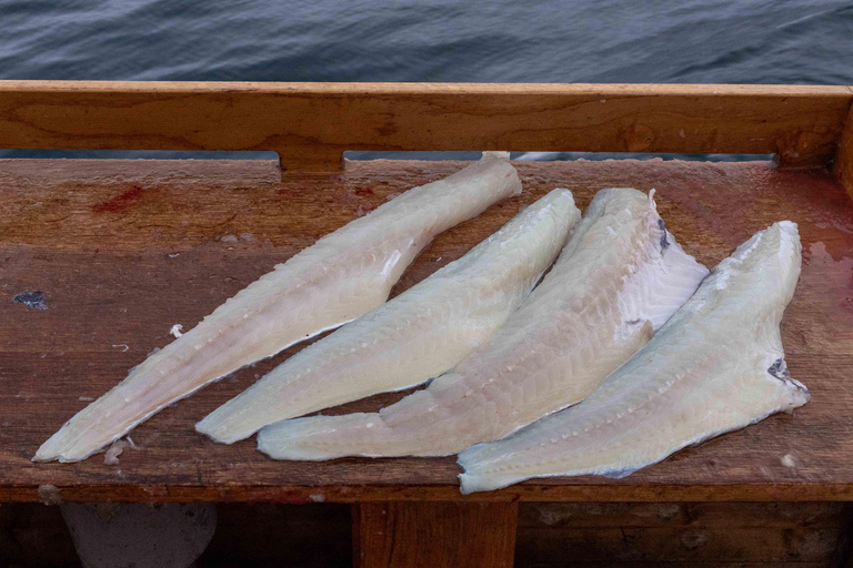 Tromsø: Evening Fishing Cruise with Hermes II