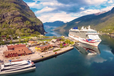 Tour guidato privato per la crociera sul fiordo di Oslo e la ferrovia di Flåm