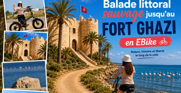 Djerba: Electric Bike Tour – Fort Ghazi, Pink Flamingos & Coastline