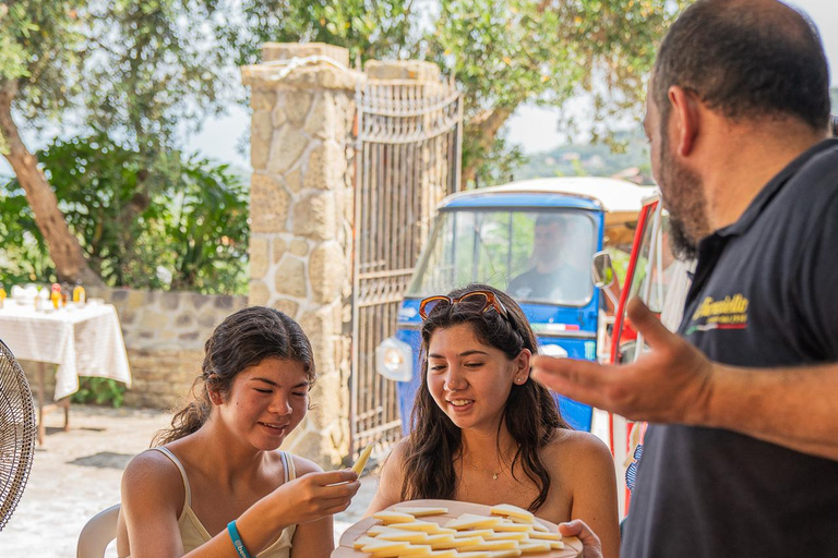 Sorrento: Lemons grove, Farm Tour&Tasting and Pizza Class Sorrento Coast: Enogastronomic Tour with Show & Tasting