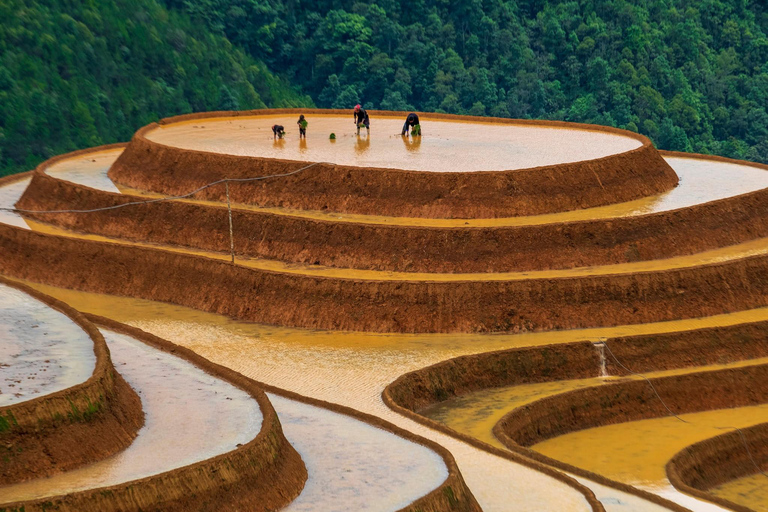 Tour Ha Noi - Mu Cang Chai treckking 3 days 2 nights