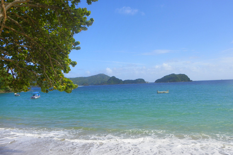 Tobago: Buccoo Reef Glass Bottom Boat Tour