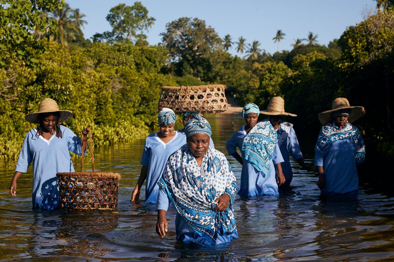 Mwani Zanzibar 独特海藻和护肤之旅桑给巴尔岛独特海藻和护肤之旅