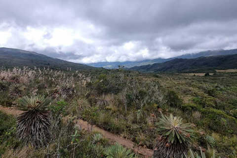 Le páramo, source d&#039;eau et gardien de la vie - RandonnéePáramo, source d&#039;eau et gardien de la vie - Randonnée