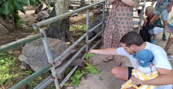 Seychelles: Highlights Tour of the Islands iconic spots
