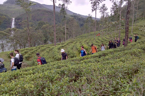 Trekking z Kandy do Ella