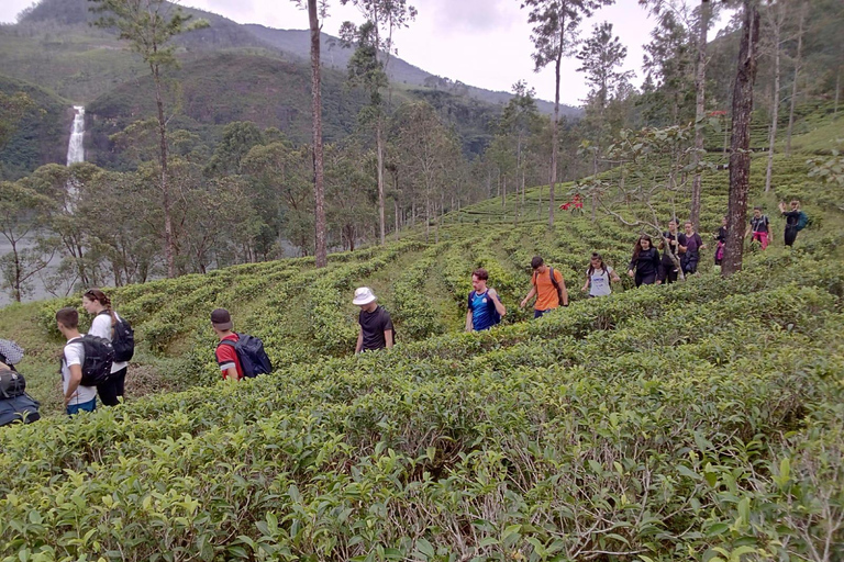 Trekking z Kandy do Ella