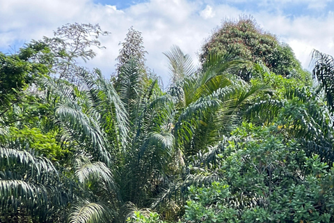 Rafting 5km.+Optional Zipline & ATV(Near Krabi/In Phang Nga) 5 km rafting