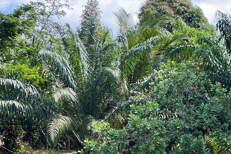 Rafting 5km.+Optional Zipline & ATV(Near Krabi/In Phang Nga) 5 km rafting