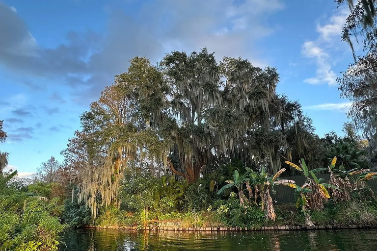 Winter Haven: Guided Boat Tour of 16 lakes w/Lunch stop.