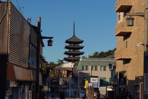 Nara Gardens and Temples Private Guided Tour with Transport