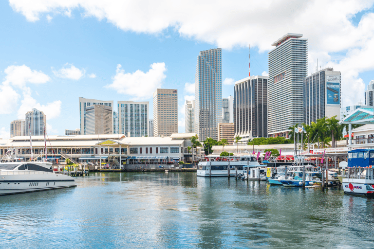 Miami: Crociera panoramica con bar a bordo