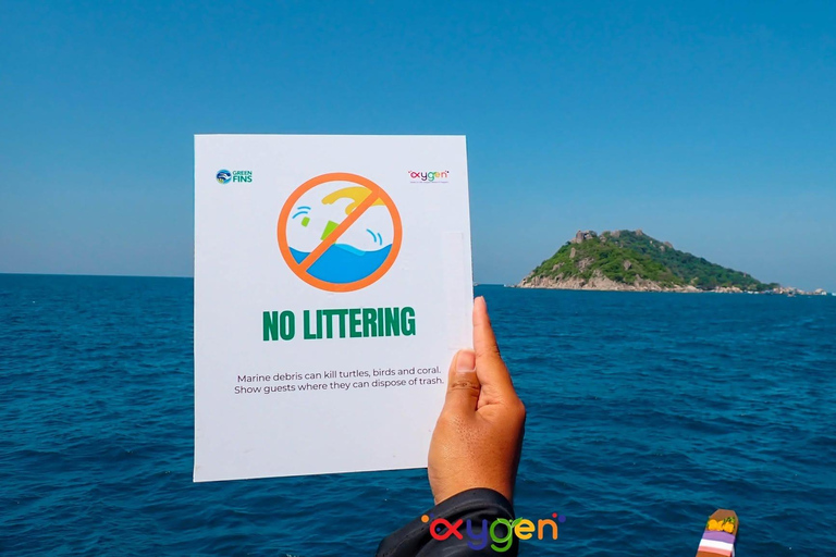 Koh Tao in a Day: Turtles, Hidden Reefs & Nangyuan Viewpoint