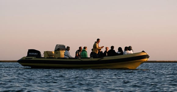 Faro: Ria Formosa Sunset Nature Boat Tour Led by a Biologist