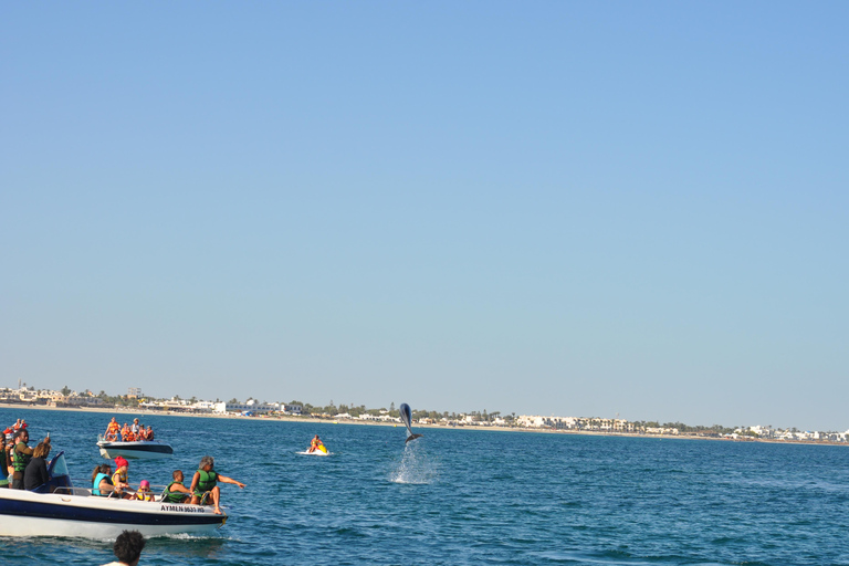 Djerba: Half-Day Boat Trip, Dolphin Watching, Swimming, and Lunch