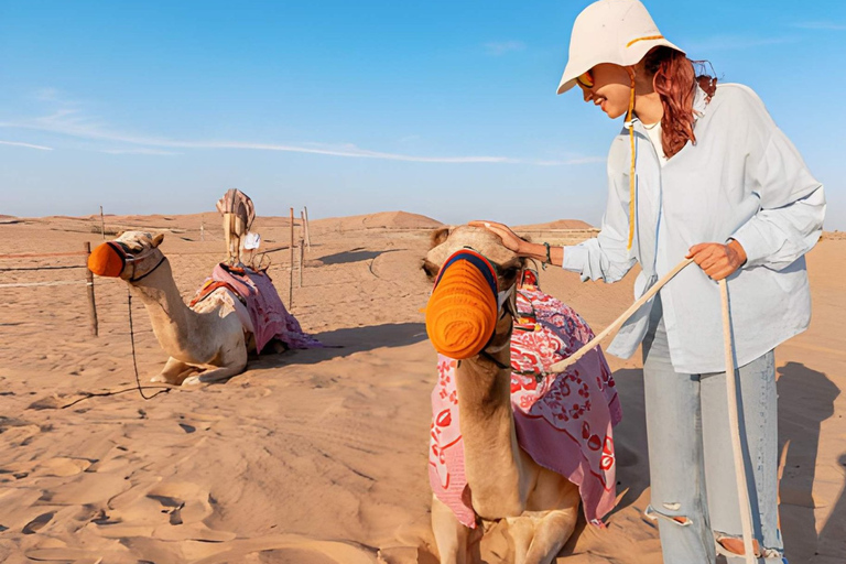 Doha: Sunrise Desert Safari to Inland Sea with Camel Ride