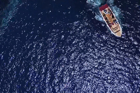 Syracuse: Ortigia Island and Sea Caves Boat Tour