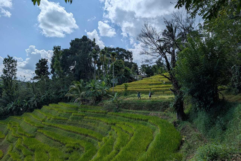 Kandy: Heeloya Village Tour with Lunch and Guide