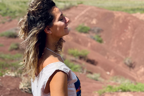 Cafayate: Tour de dia completo por bodegas y degustacion de vinos