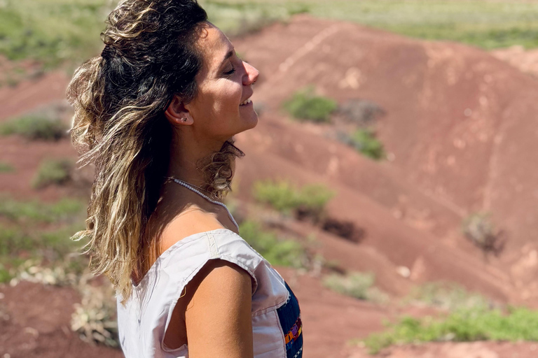 Cafayate: Tour de dia completo por bodegas y degustacion de vinos