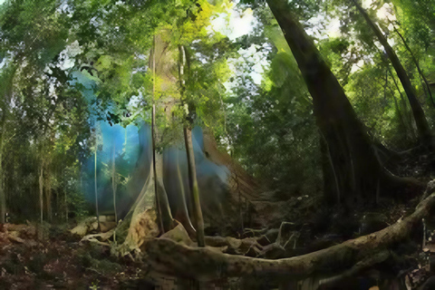 Ho Chi Minh City: Nam Cat Tien National Park 2-Day Tour