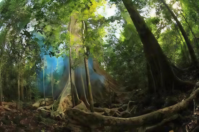 Ho Chi Minh City: Nam Cat Tien National Park 2-Day Tour