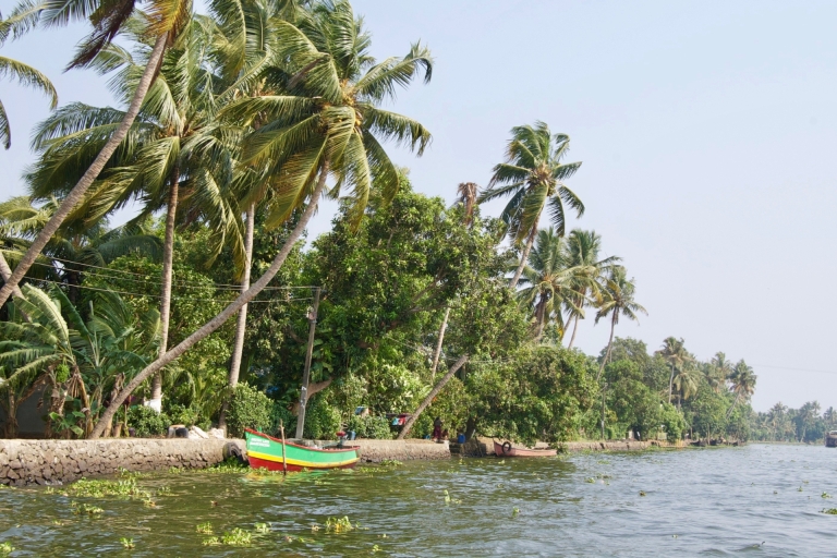 Desde Kochi: Excursión Privada en Crucero en Barco por los Remansos