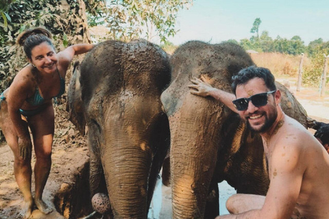 Excursão ao Santuário de Elefantes do Camboja e ao Templo de Banteay Srey