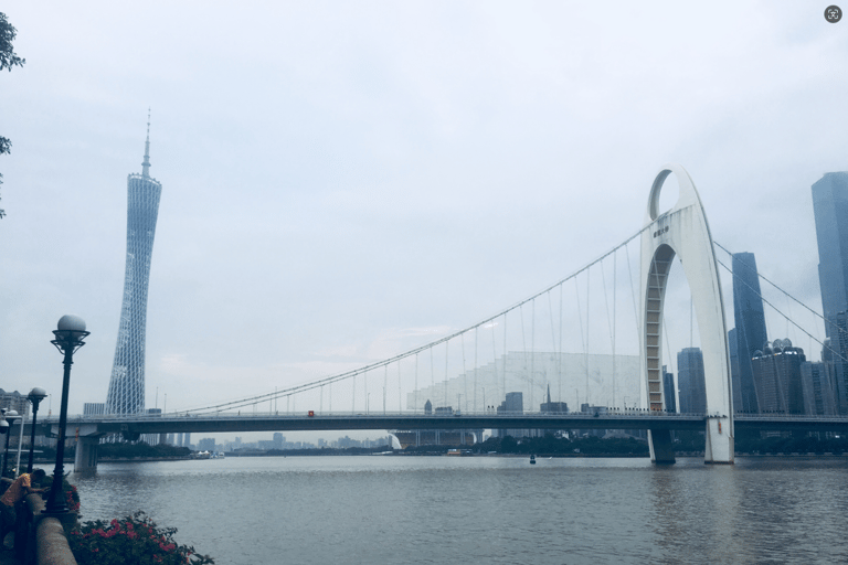 Guangzhou: tour privato della città con pranzo dim sum