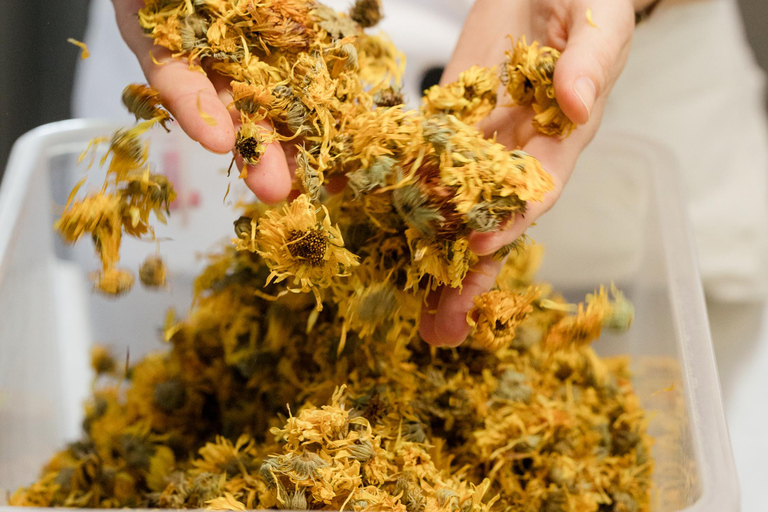 Thessalonique : saveurs de la Grèce DégustationThessalonique : dégustation de saveurs grecques