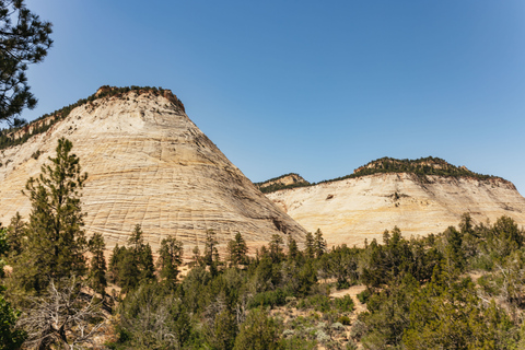 Las Vegas: Bryce und Zion Nationalparks Tour mit Mittagessen