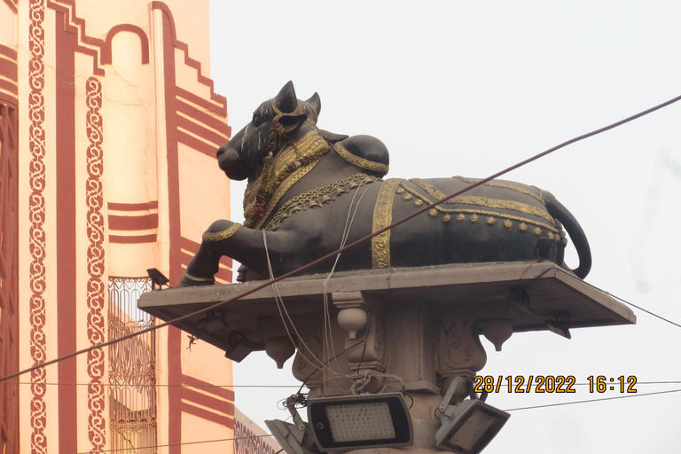 瓦拉纳西：晨光瓦拉纳西·阿提仪式晨间游船之旅瓦拉纳西：晨光瓦拉纳西晨间游船之旅，含阿提仪式