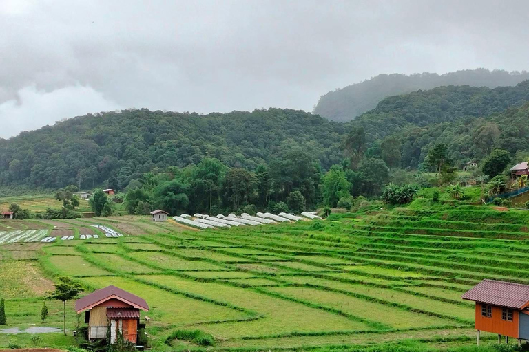 Chiang Mai: Cascada de Mae Ya y Senda de Pha Dok SiewTour privado con servicio de recogida del hotel