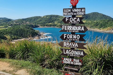 Da Rio de Janeiro: Tour alla scoperta di Búzios in buggy