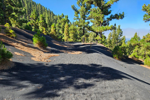 La Palma: Tur till den nya vulkanen Tajogaite 360º.Upphämtning i Fuencaliente