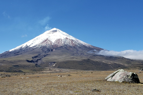 From Quito: Private Andes Tour to Cotopaxi & Quilotoa Lagoon